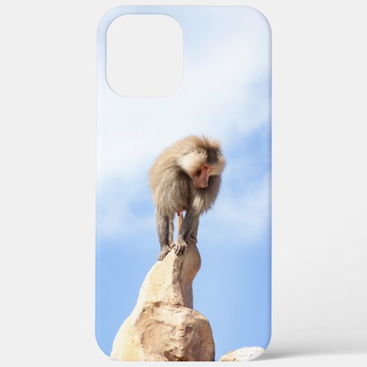 Baviaan aap boven op een berg Case-Mate iPhone case (Achterkant)