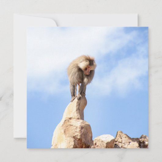 Baviaan aap boven op een berg feestdagenkaart (Voorkant)