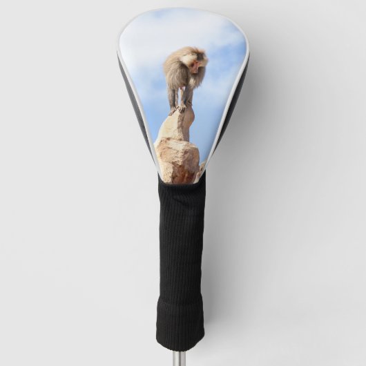 Baviaan aap boven op een berg golfheadcover (Voorkant)