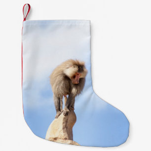Baviaan aap boven op een berg kleine kerstsok