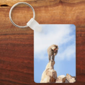 Baviaan aap boven op een berg sleutelhanger (Voorkant)
