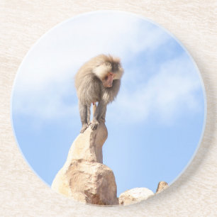 Baviaan aap boven op een berg zandsteen onderzetter