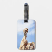 Baviaan aap op de top van een berg bagagelabel (Achterkant verticaal)