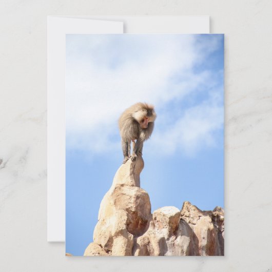 Baviaan aap op de top van een berg bedankkaart (Voorkant)