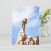 Baviaan aap op de top van een berg bedankkaart (Staand voorkant)