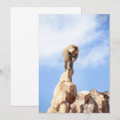 Baviaan aap op de top van een berg bedankkaart (Voorkant / Achterkant)