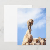 Baviaan aap op de top van een berg bedankkaart (Voorkant / Achterkant)