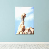 Baviaan aap op de top van een berg canvas afdruk (Insitu (Houten vloer))