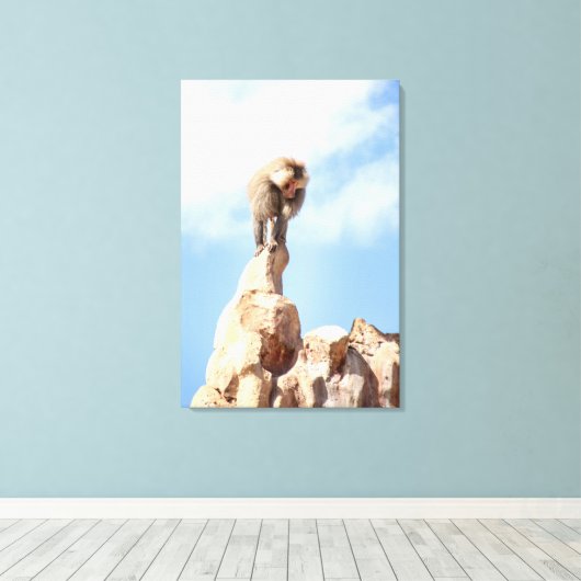 Baviaan aap op de top van een berg canvas afdruk (Insitu (Houten vloer))