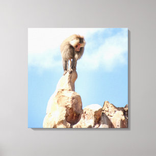 Baviaan aap op de top van een berg canvas afdruk