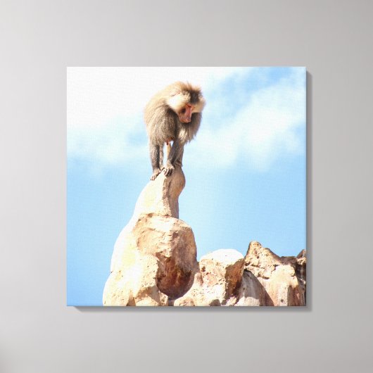 Baviaan aap op de top van een berg canvas afdruk (Voorkant)