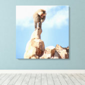 Baviaan aap op de top van een berg canvas afdruk (Insitu (Houten vloer))