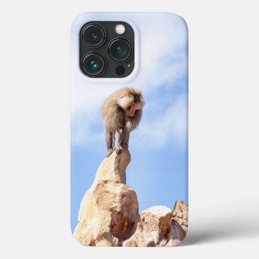 Baviaan aap op de top van een berg Case-Mate iPhone case (Achterkant)