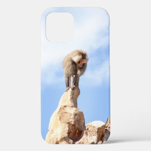 Baviaan aap op de top van een berg Case-Mate iPhone case (Achterkant)