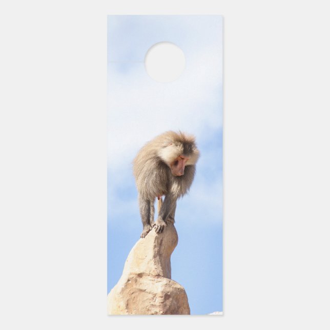Baviaan aap op de top van een berg deurhanger (Voorkant)