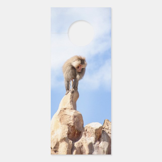 Baviaan aap op de top van een berg deurhanger (Voorkant)