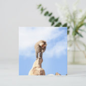 Baviaan aap op de top van een berg kaart (Staand voorkant)