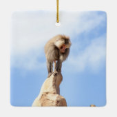 Baviaan aap op de top van een berg keramisch ornament (Achterkant)