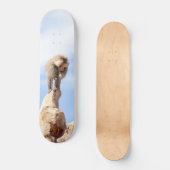 Baviaan aap op de top van een berg persoonlijk skateboard (Voorkant)