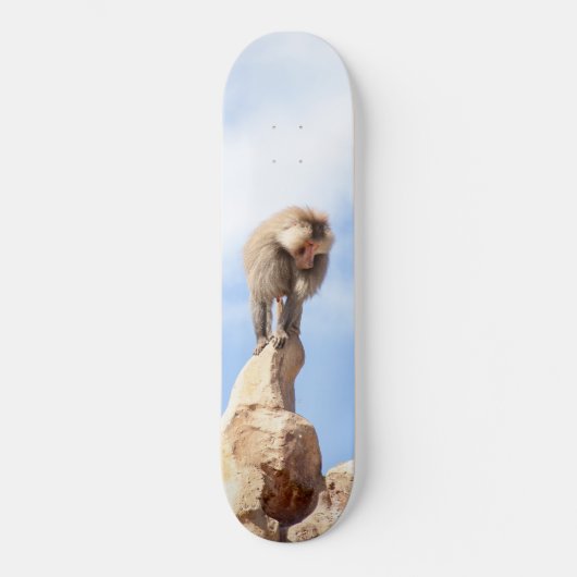Baviaan aap op de top van een berg persoonlijk skateboard (Voorkant)