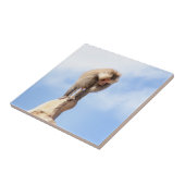 Baviaan aap op de top van een berg tegeltje (Zijkant)