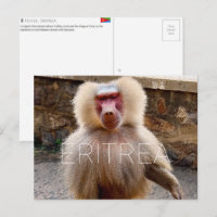 Baviaan bij Hinzi, Eritrea Reisansichtkaart