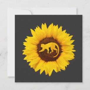 Baviaan Voor Vrouwen Mannen Aap Dier Zonnebloem Kaart