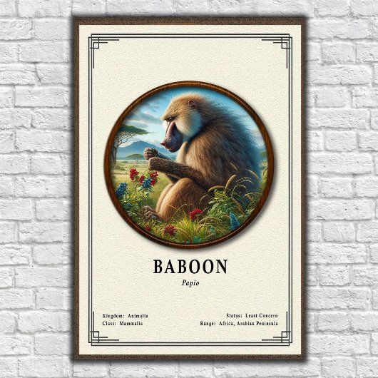 Baviaan Zoologie Serie Poster