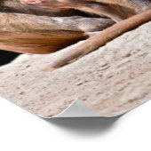 Bavianen en jonge vakantie poster (Hoek)