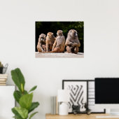 Bavianen en jonge vakantie poster (Thuiskantoor)