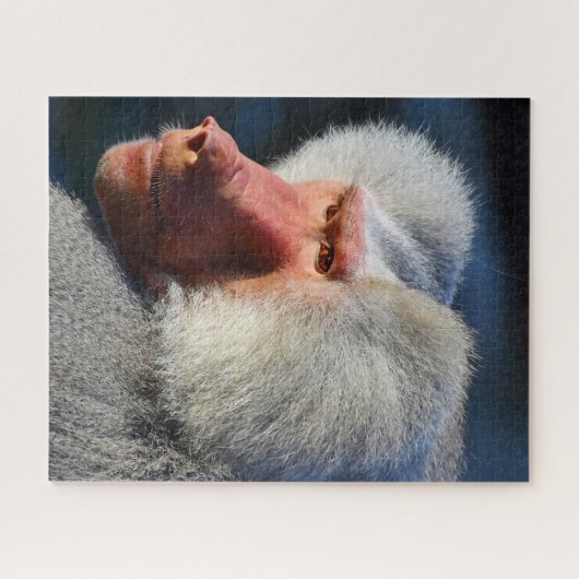 Bavianen. Legpuzzel (Horizontaal)