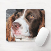 Baxter - English Springer Spaniel Photo-06 Muismat (Met muis)