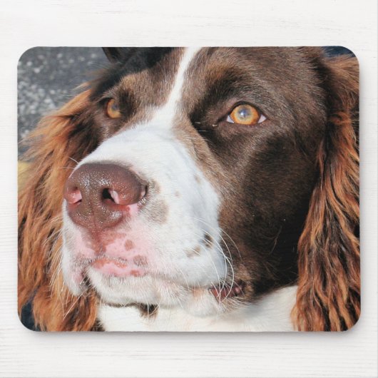 Baxter - English Springer Spaniel Photo-06 Muismat (Voorkant)