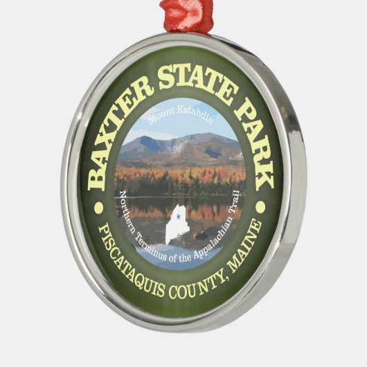 Baxter SP Metalen Ornament (Links)