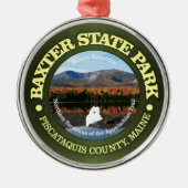 Baxter SP Metalen Ornament (Voorkant)