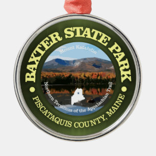 Baxter SP Metalen Ornament