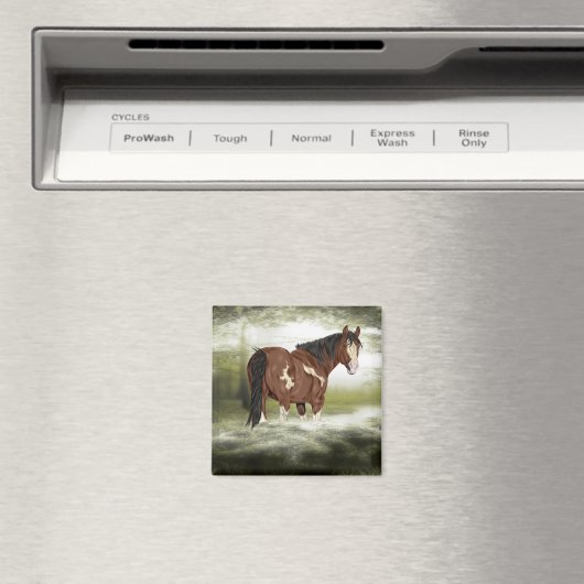 Bay and White Splash Overo Verf Paard Magneet (Insitu (Vaatwasser))