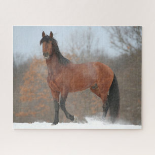 Bay Andalucian Stallion staat op sneeuw Legpuzzel