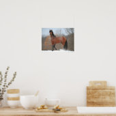 Bay Andalucian Stallion staat op sneeuw Poster (Keuken)