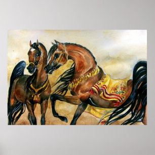 Bay Arabian Horse Portrait Poster Print