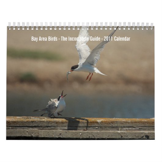 Bay Area Birds Calendar 2011 Kalender (Hoes)