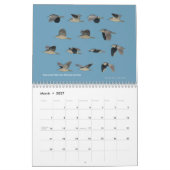 Bay Area Birds Calendar 2011 Kalender (Mar 2027)