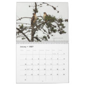Bay Area Birds Calendar 2011 Kalender (Jan 2027)