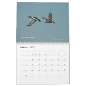 Bay Area Birds Calendar 2011 Kalender (Feb 2027)