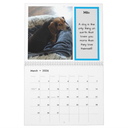 Bay Beagle Rescue kalender 2024 (Mar 2026)