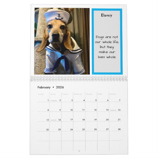 Bay Beagle Rescue kalender 2024 (Feb 2026)