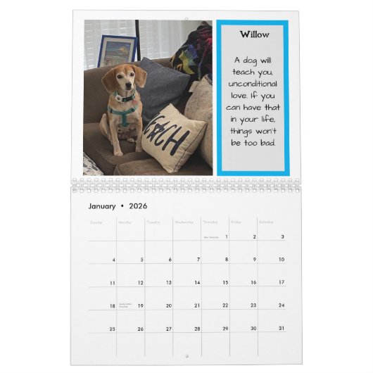 Bay Beagle Rescue kalender 2024 (Jan 2026)