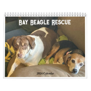 Bay Beagle Rescue kalender 2024