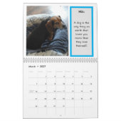 Bay Beagle Rescue kalender 2024 (Mar 2027)
