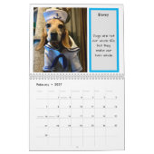 Bay Beagle Rescue kalender 2024 (Feb 2027)